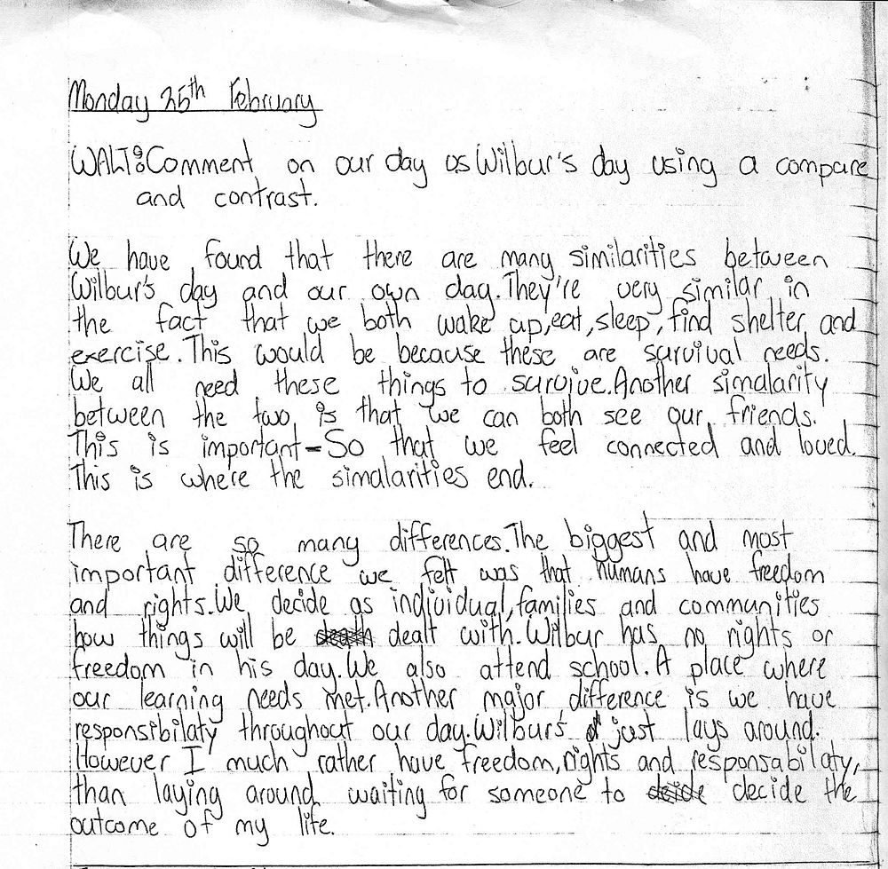 ncea level 1 english essay exemplars